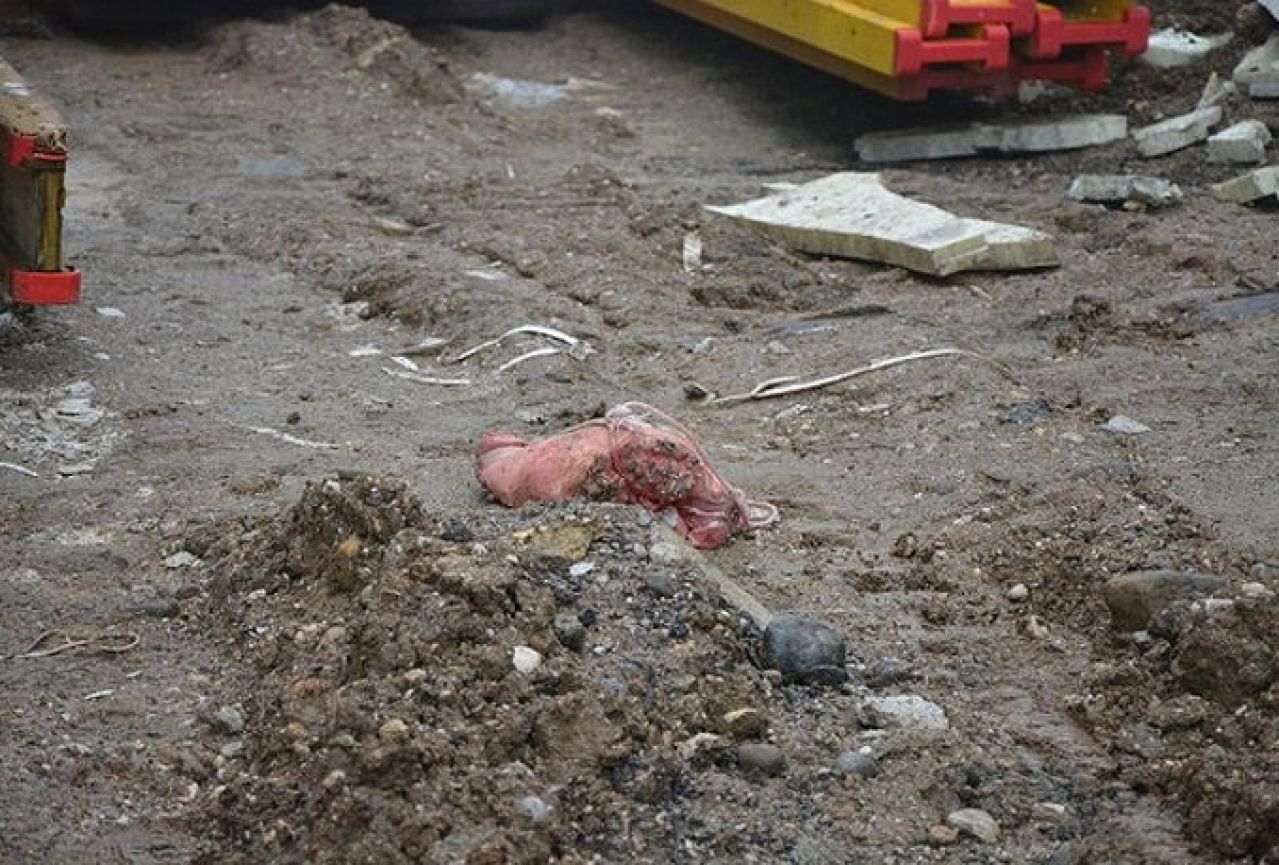 Ljubljana: Na mjestu buduće džamije pronađene svinjske glave i krv