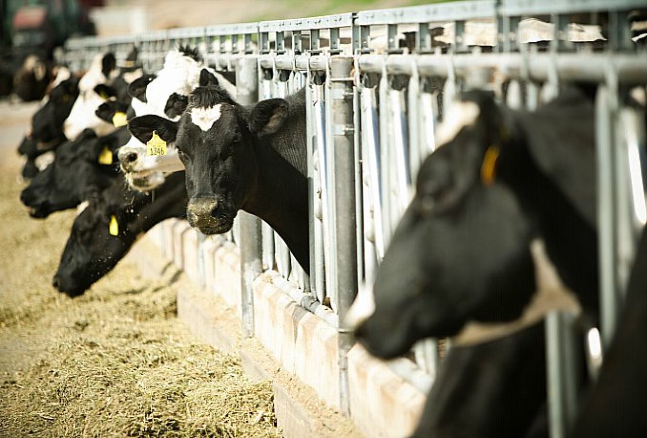 Poljoprivrednici: Javno kaznite prekršitelje sporazuma o izvozu mesa