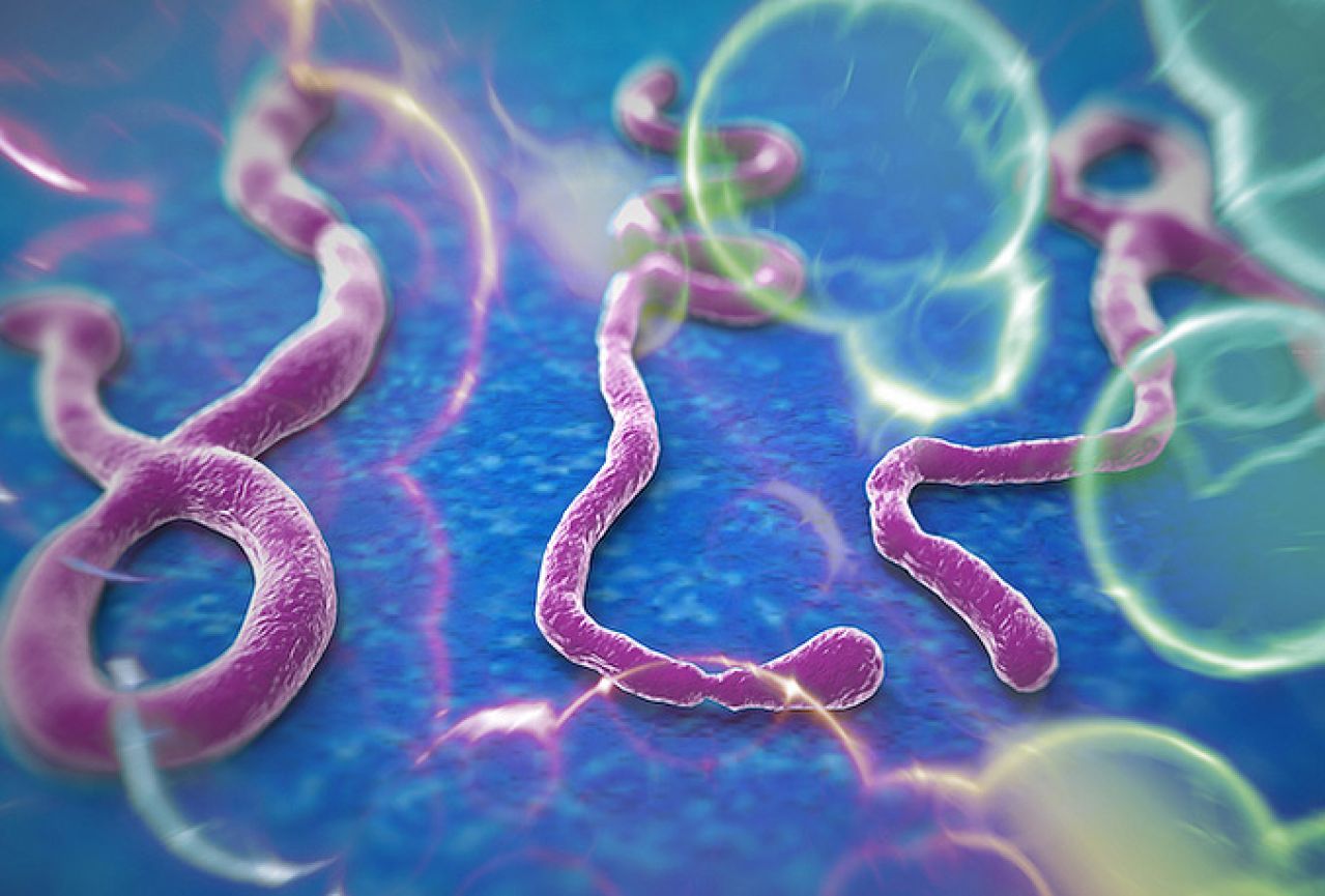 Virus ebole prenosi se kao gripa ili HIV 