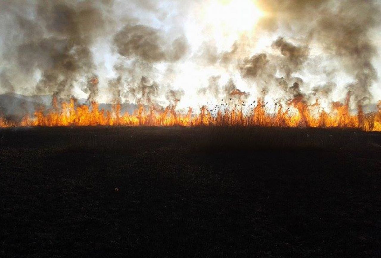Hutovo blato: Vatrogasci se nekoliko sati borili s požarom