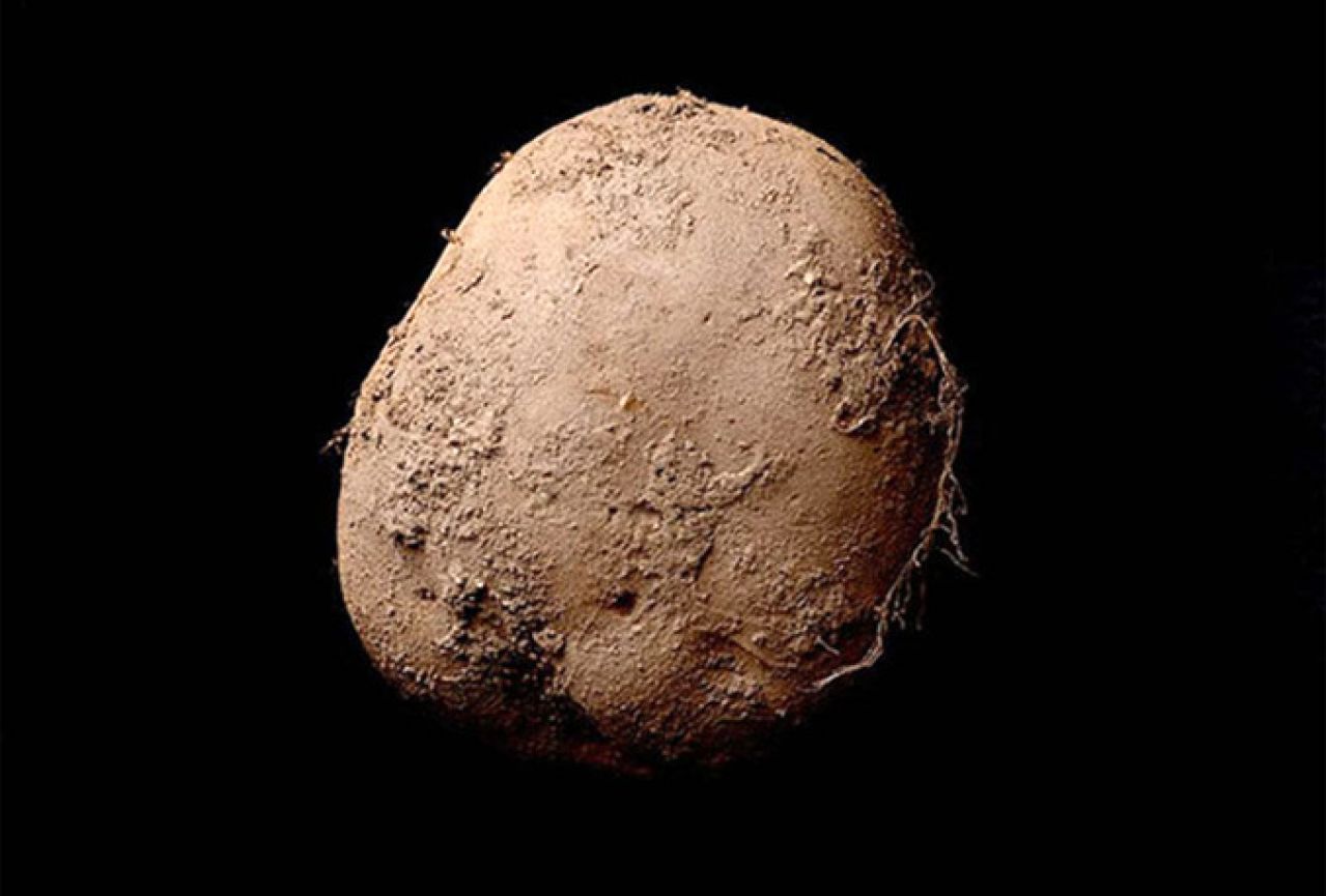 Ova fotografija krumpira je prodana za milijun eura
