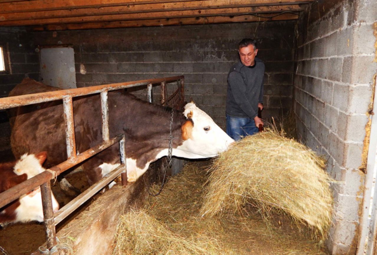 Rama: Od proizvodnje i prodaje mlijeka može se dobro živjeti