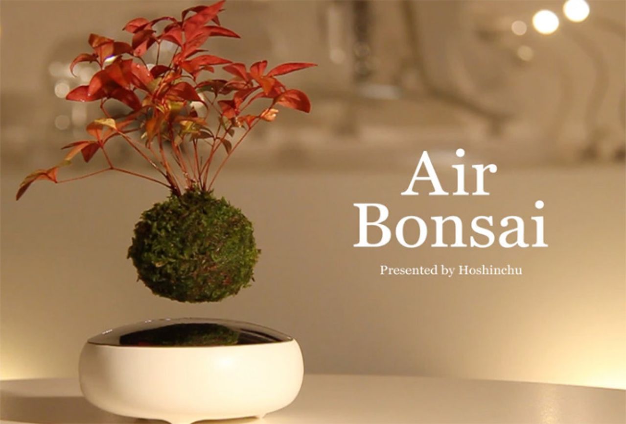 Novi detalj za interijer - lebdeća bonsai mini stabla