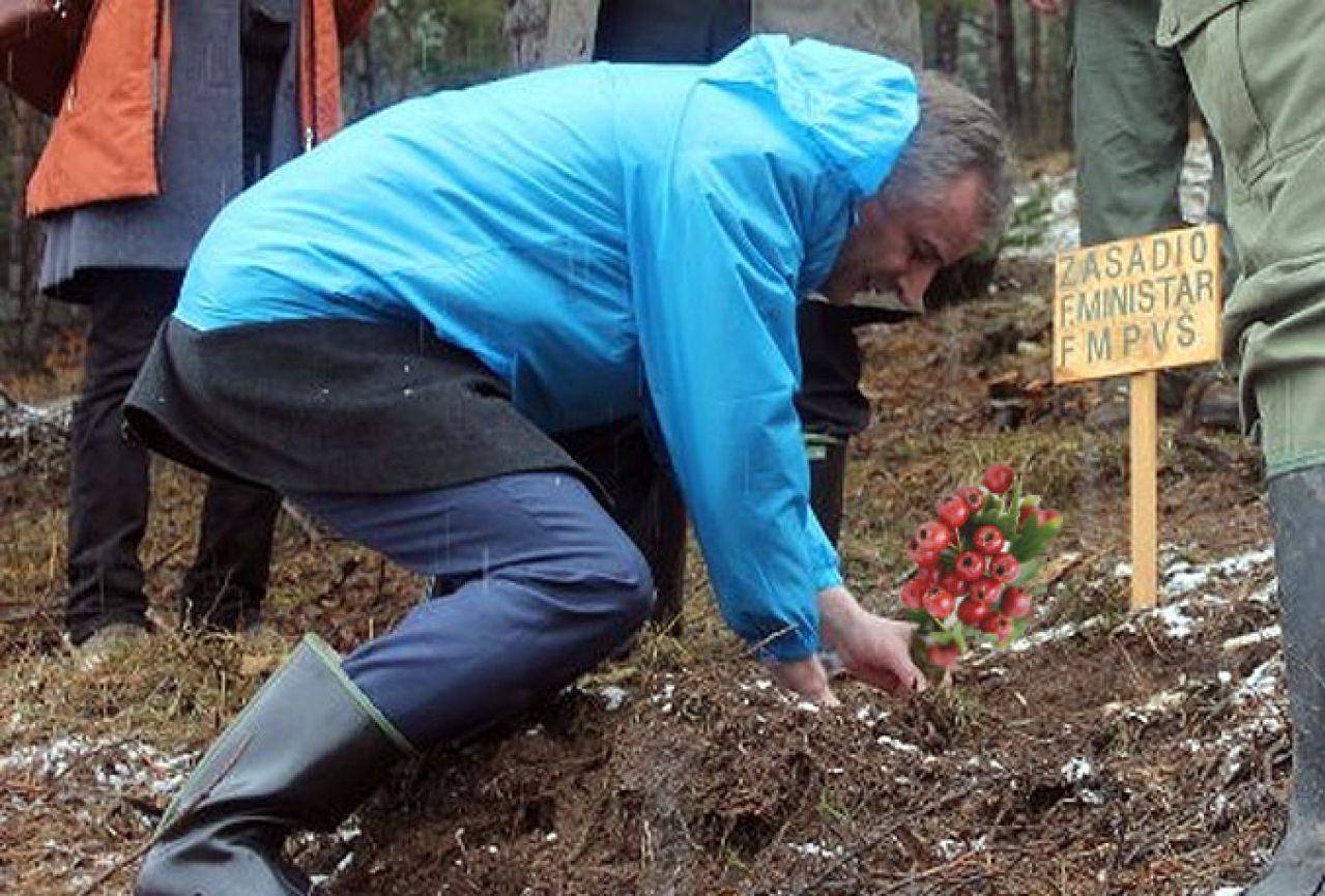 Pročitajte optužnicu protiv Lijanovićeve skupine