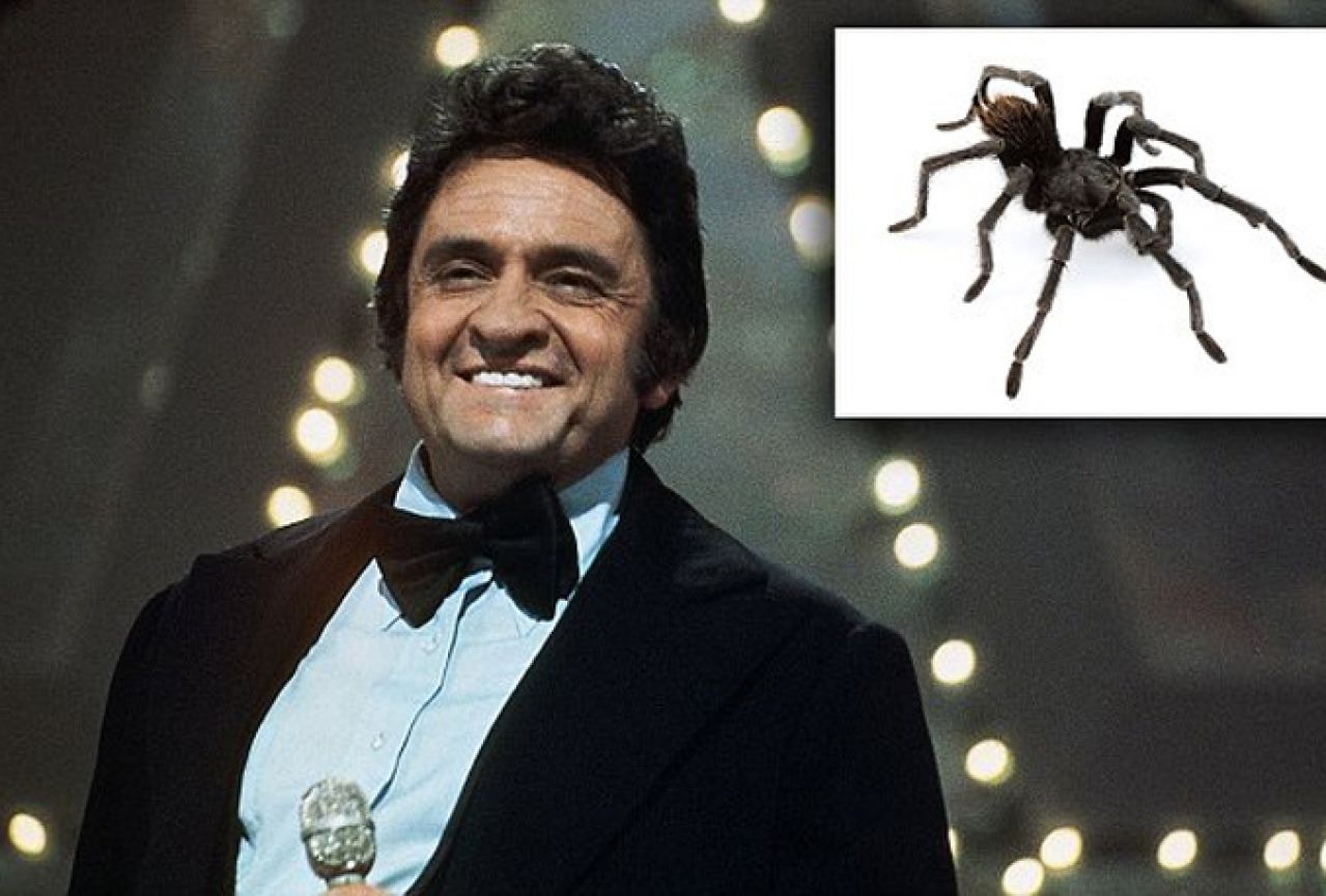Tarantula pronađena pokraj zatvora Folsom nazvana po Johnnyju Cashu