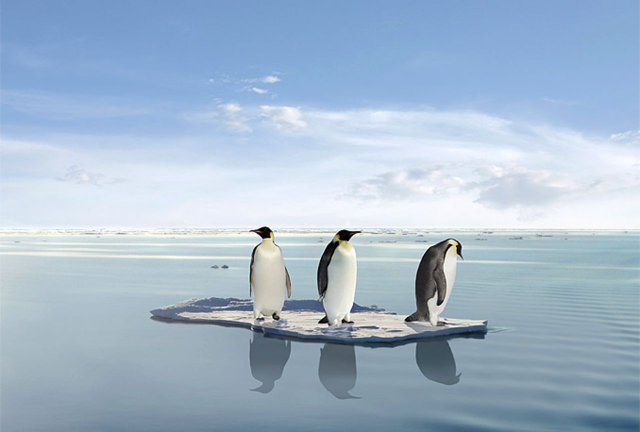 Antarktika: Zbog goleme sante leda masovno izumiru pingvini