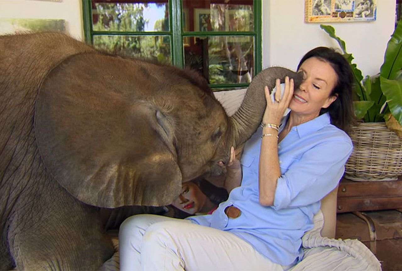Spasila bebu slona od sigurne smrti i postala njegova 'nova mama'