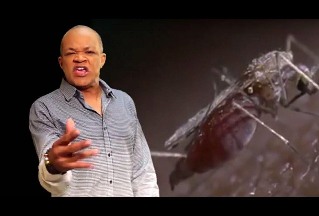 Ministarstvo zdravlja Jamajke: Regge pjesmom protiv Zika virusa