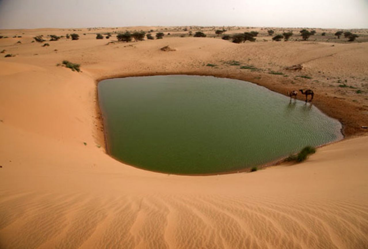 Desert water. Вилайет Адрар, Алжир. Вода в пустыне сахара. В пустыне есть вода. Вода Оазис.