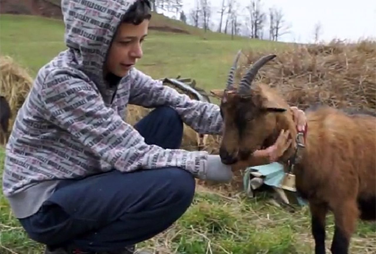 Dječak koji je ganuo regiju: Ispunjena mu najveća želja dobio 25 koza 