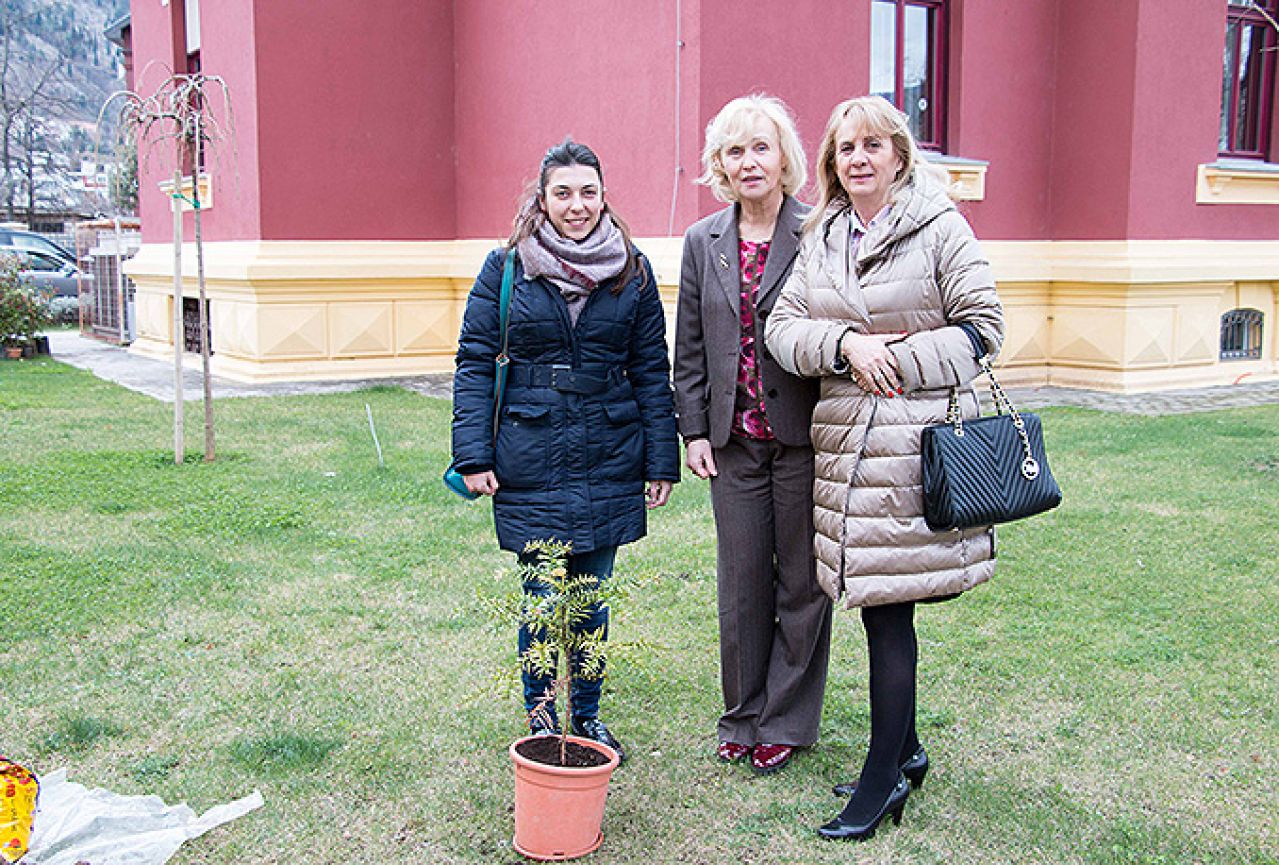 Mostarski Rektorat dobio endemsku vrstu drveta