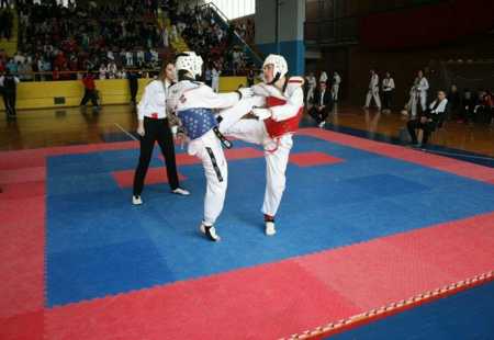 https://storage.bljesak.info/article/152251/450x310/taekwondo-capljina-bih-1.jpg