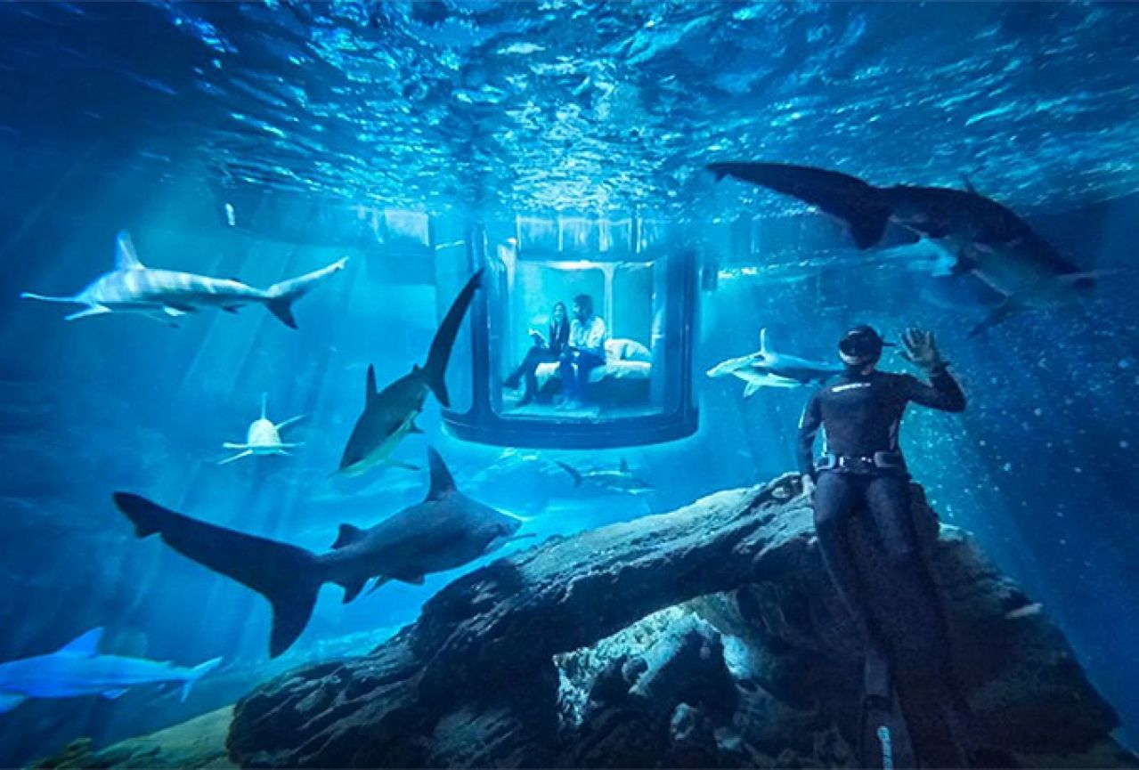 Avantura za hrabre: Spavanje s morskim psima u akvariju