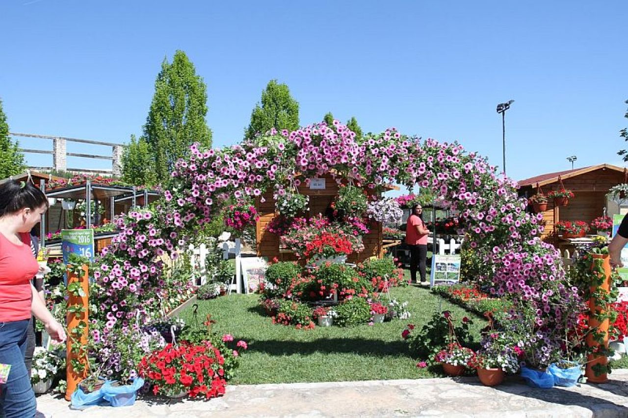 Hercegovački sajam cvijeća "Flora Herc“ Međugorje pretvorio u grad cvijeća