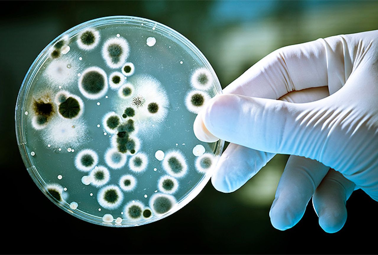 Od superbakterija će umirati 10 milijuna ljudi godišnje