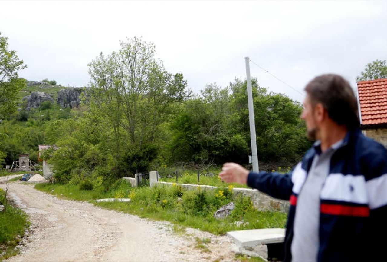 Život se vraća u istočnu Hercegovinu: Plantaže lješnaka i oraha za bolju budućnost
