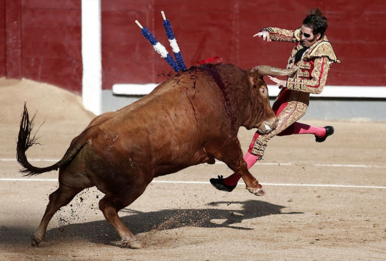 Bik oborio i ozlijedio matadora Josea Padillu