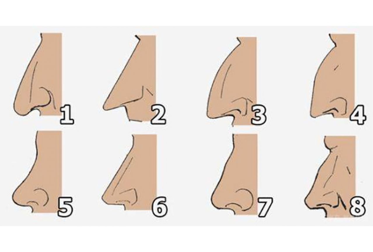 Evo što oblik nosa govori o vašem karakteru