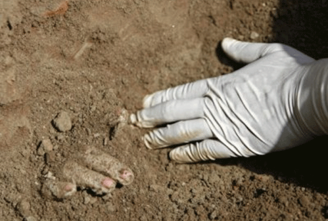 Stolac: Pronađeni posmrtni ostaci dvije Hrvatice