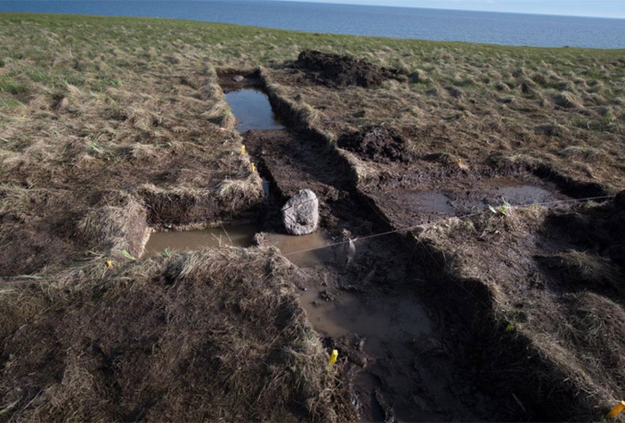 Arheolozi amateri u Danskoj pronašli narukvice iz doba Vikinga