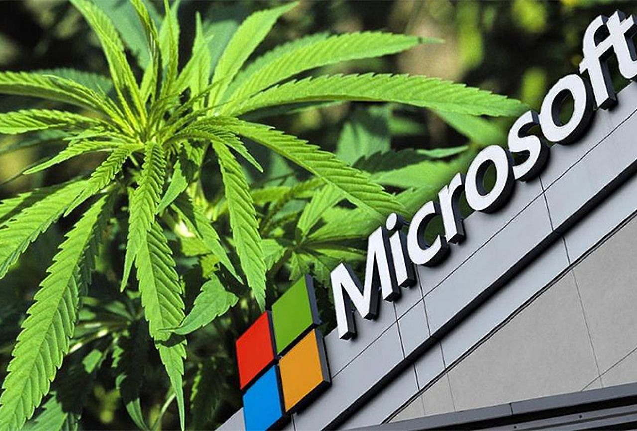 Microsoft će pratiti i kontrolirati legalnu prodaju marihuane