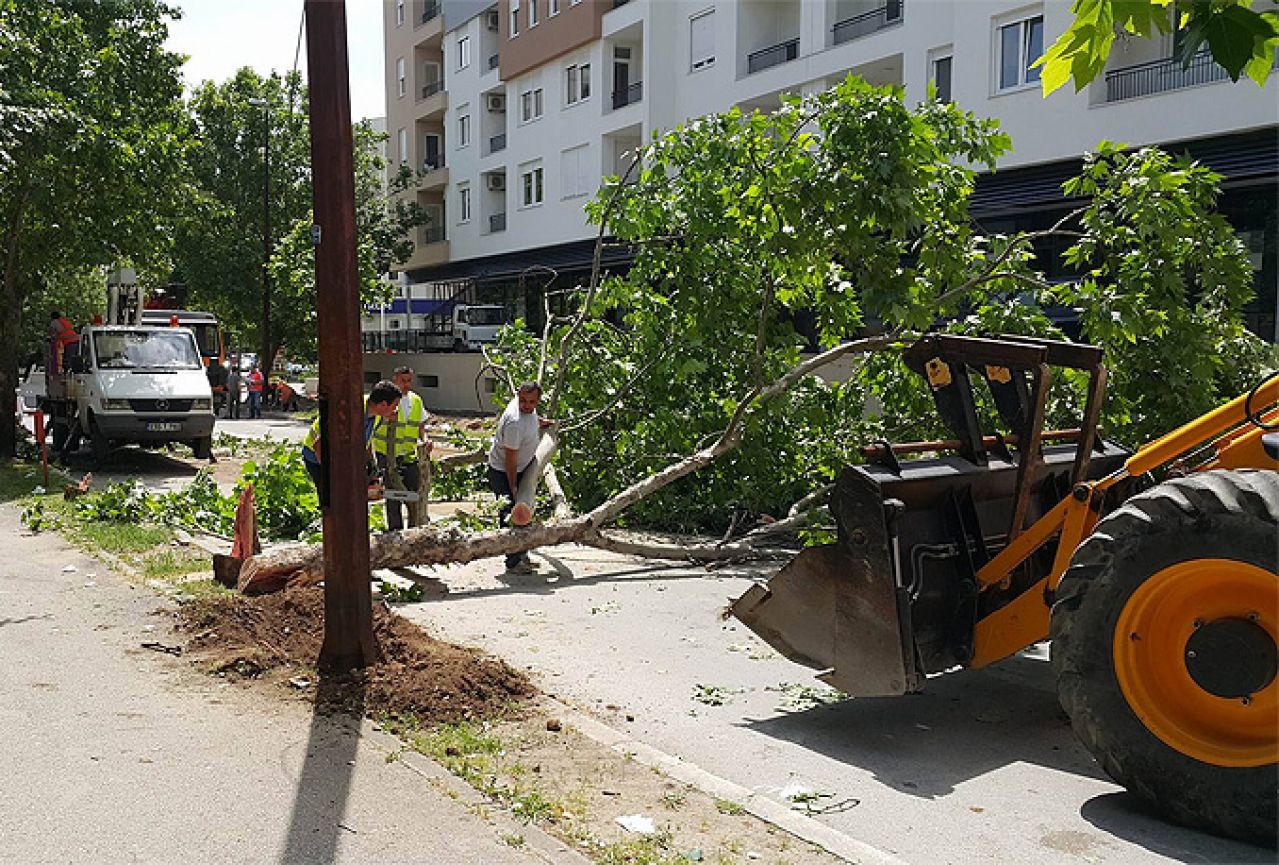 Mostar: Obustava prometa zbog uklanjanja stabala