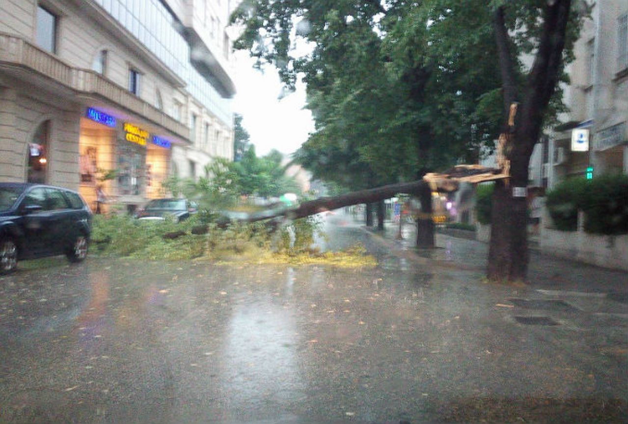 Oluja u Mostaru: Udar munje oborio stablo