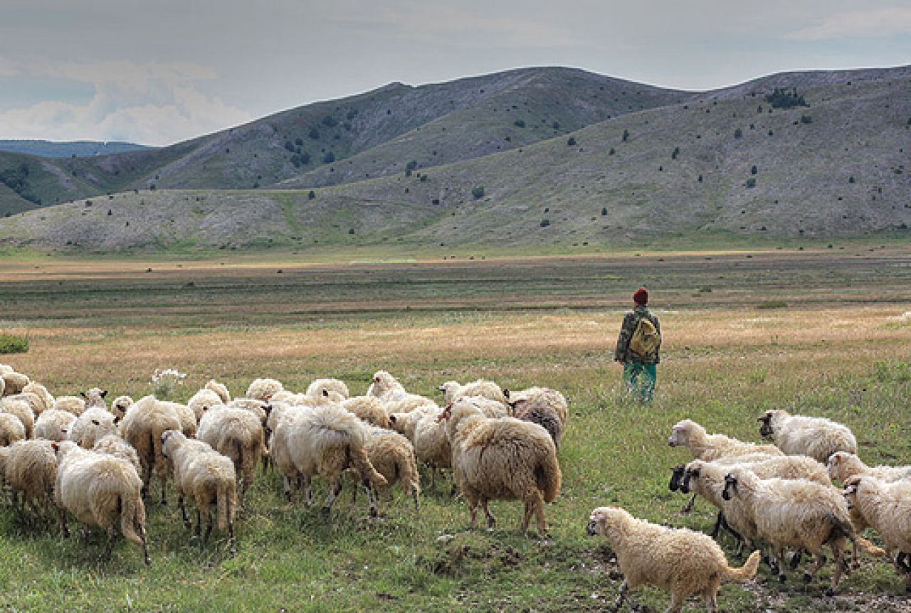 U Makedoniji nitko ne želi biti pastir