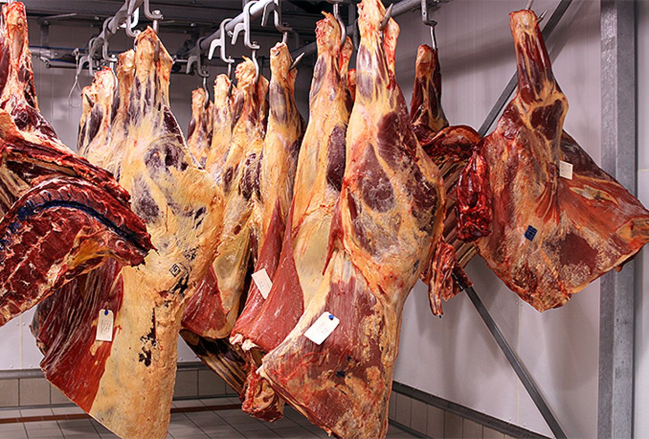Zaplijenjeno meso namijenjeno ilegalnoj proizvodnji ćevapa i pljeskavica 