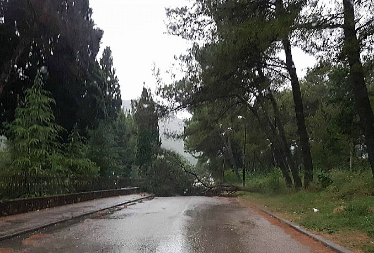 Mostar: Vatrogasci uklonili stablo s ceste