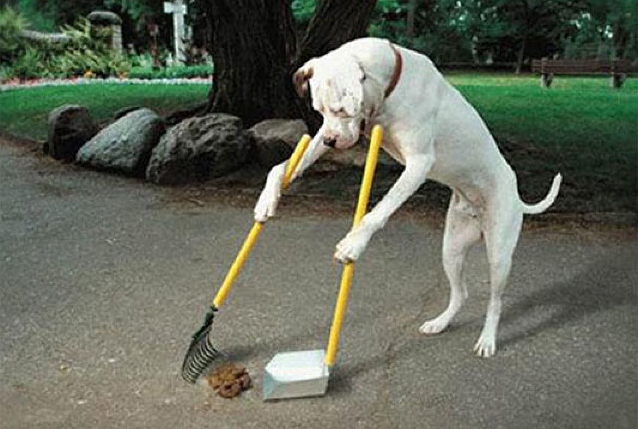 Pooper - aplikacija za čišćenje psećeg izmeta