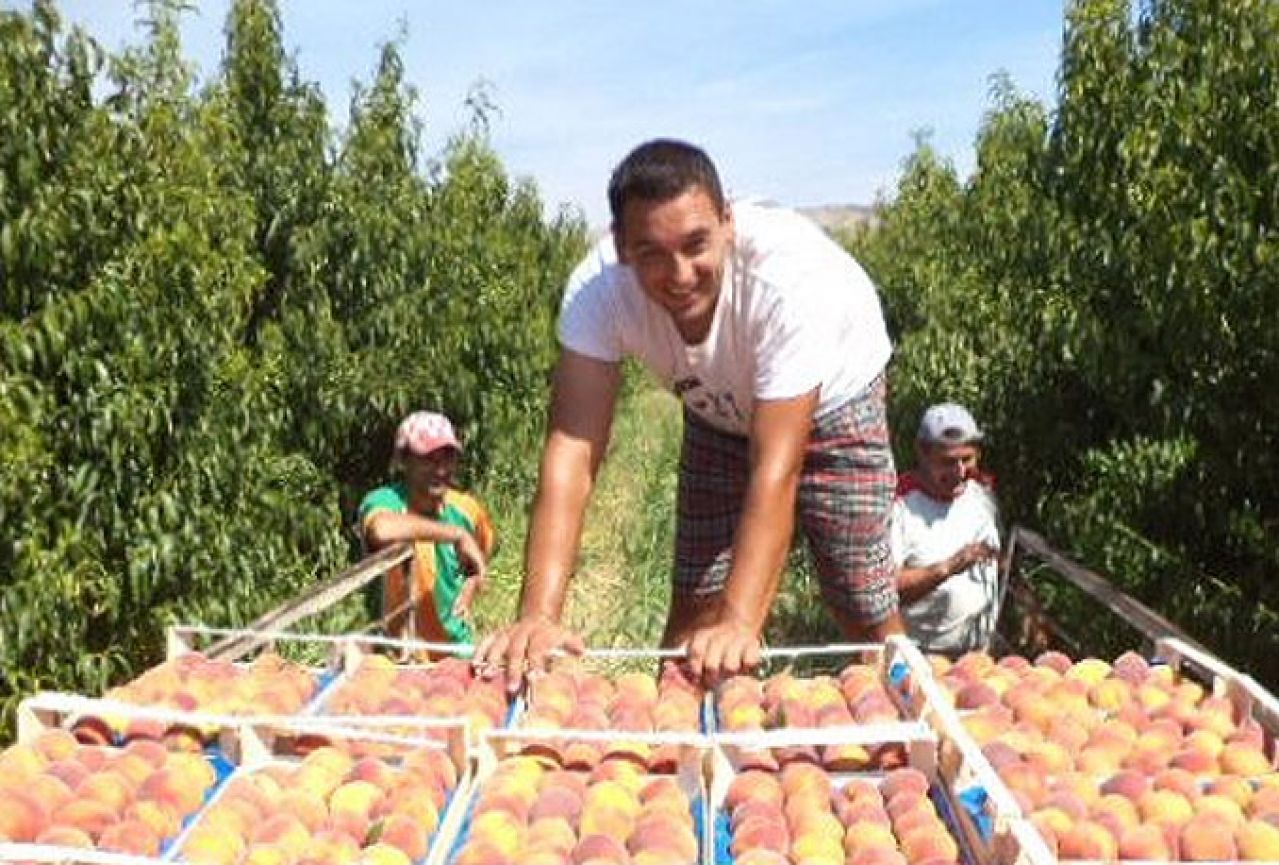 Jabuke i stolno grožđe s juga Hercegovine putuju u Rusiju