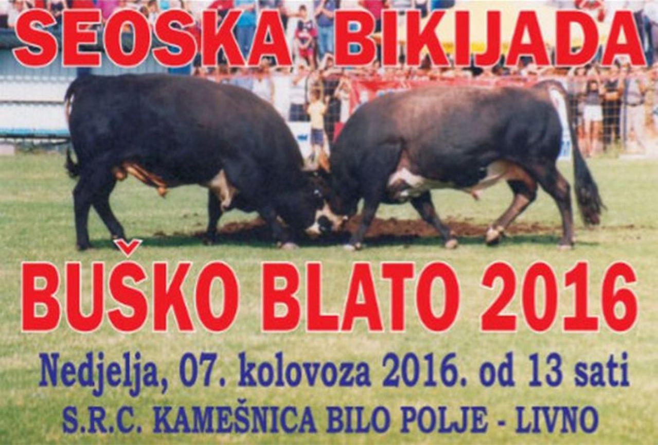 Buško Blato domaćin seoske olimpijade starih športova i borbe bikova