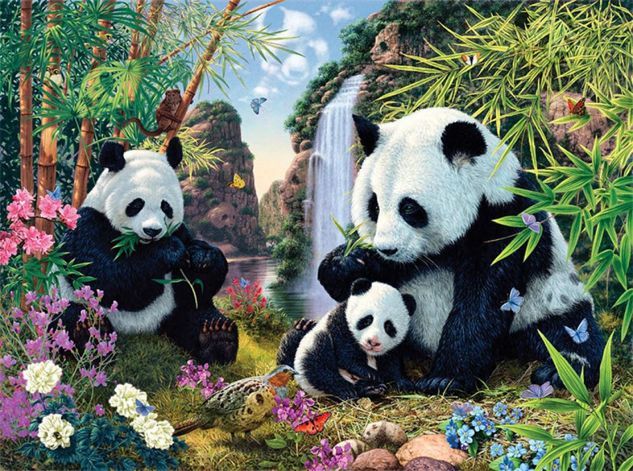 Optička iluzija: Možete li pronaći 15 pandi na ovoj slici?
