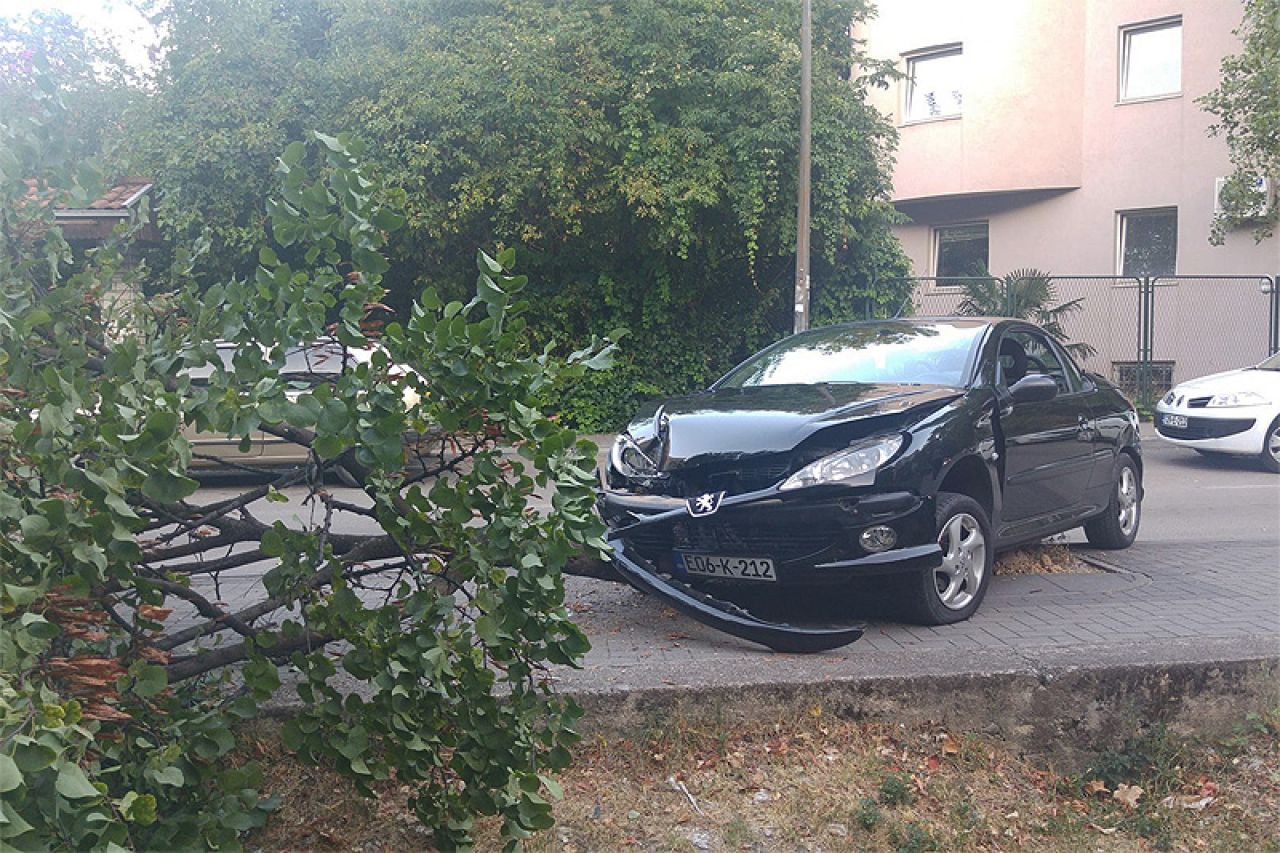 Mostar: U nesreći "nastradalo" jedno stablo i dva auta 