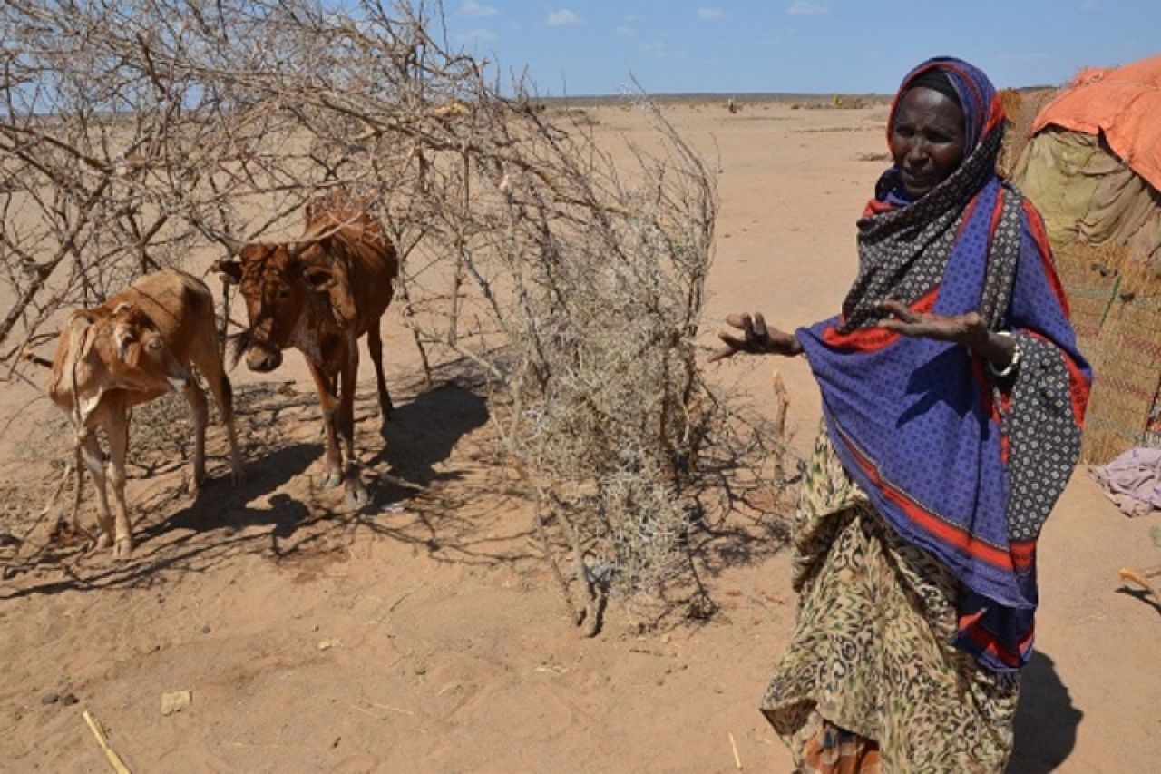 U Etiopiji sušama ugroženo 18 milijuna stanovnika