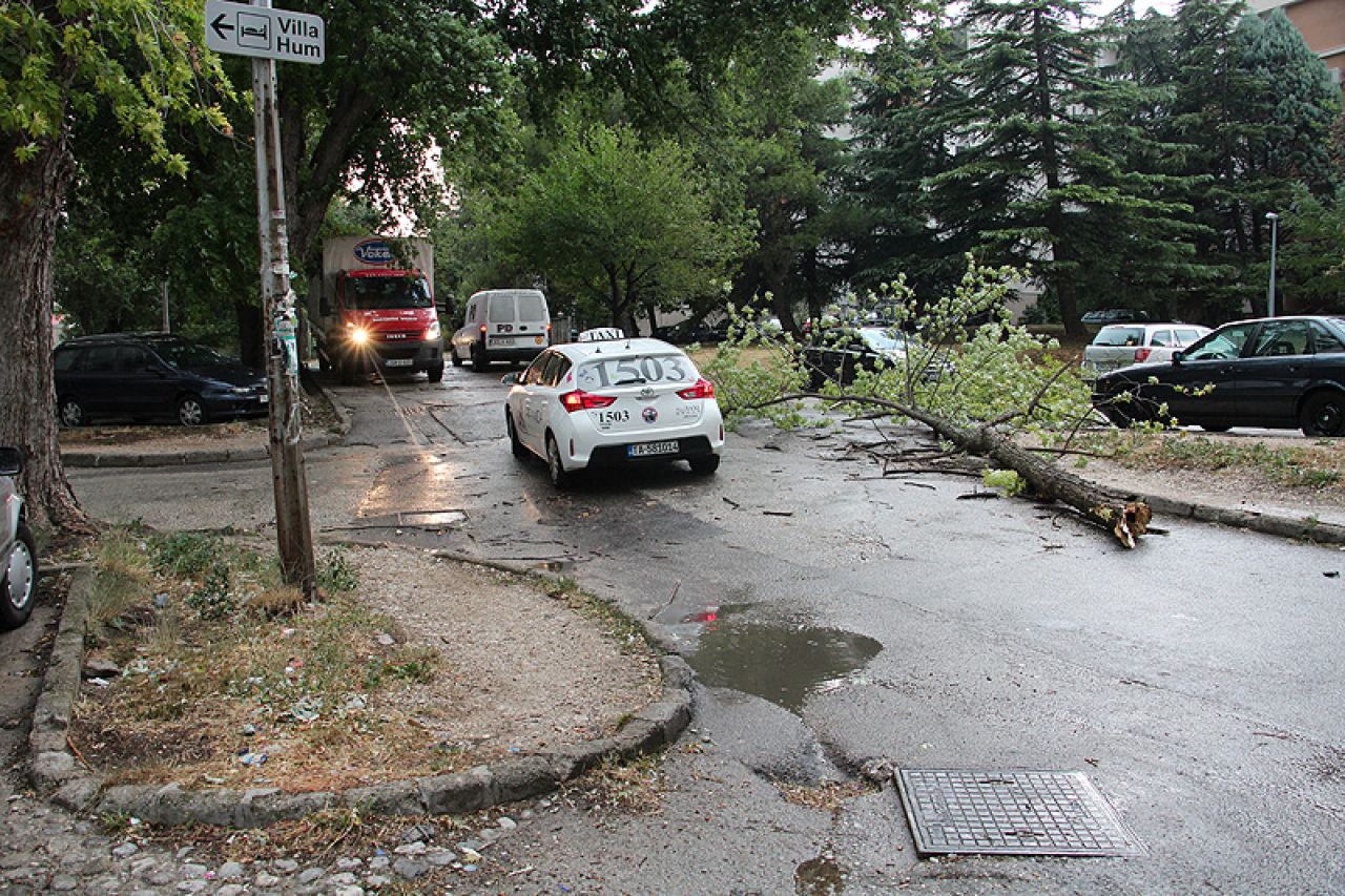 Nevrijeme uništava drveća u Mostaru