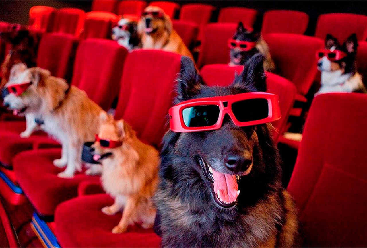 Otvoreno prvo kino za pse: Grickalice, kokice i kožna sjedišta