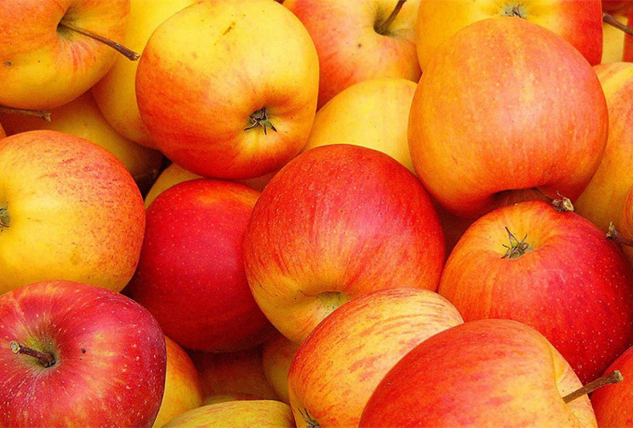 BiH Rusiji podvalila 19 tona jabuka iz Somalije