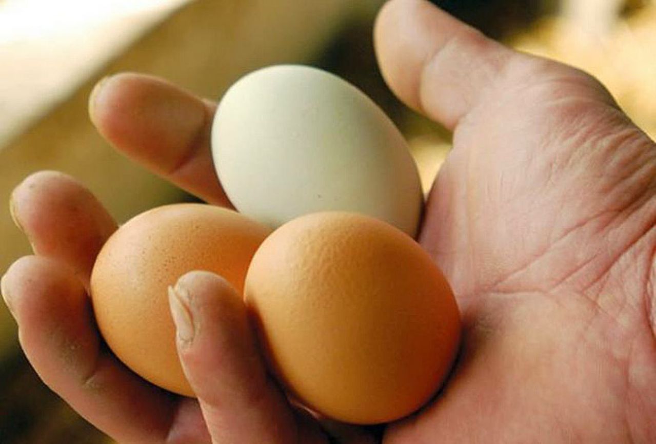 Zabranjen uvoz mesa i jaja iz Crne Gore i Slovenije