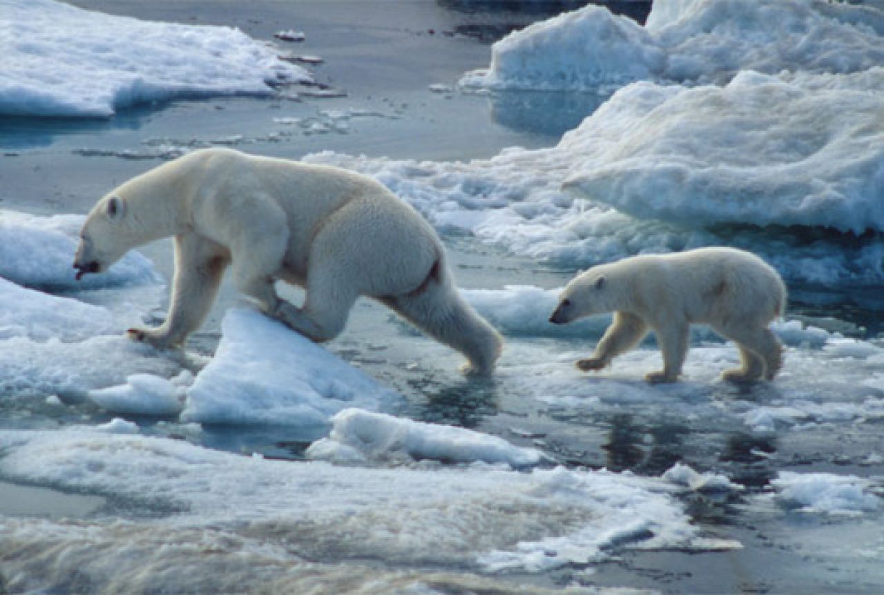 Ruski znanstvenici zarobljeni na Arktiku