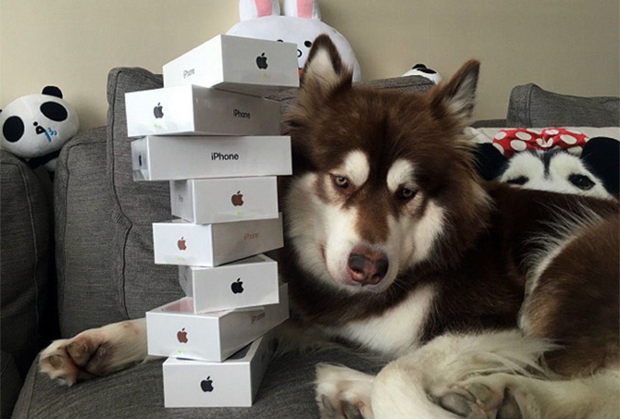 Bogataš psu kupio osam iPhonea 7