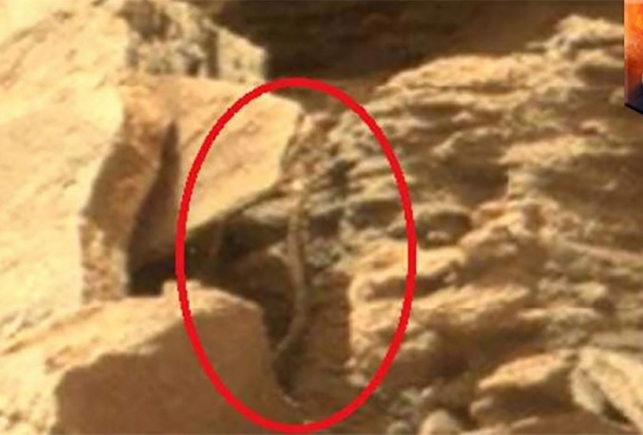 Prosudite sami: Je li NASA na Marsu snimila zmiju?