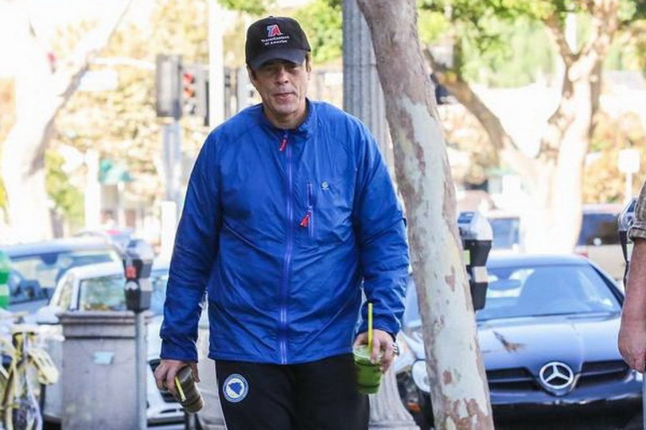 Benicio del Toro se Los Angelesom prošetao u trenerci reprezentacije BiH