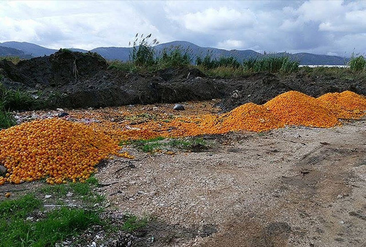 Brdo odbačenih mandarina u neretvanskoj dolini šokiralo javnost