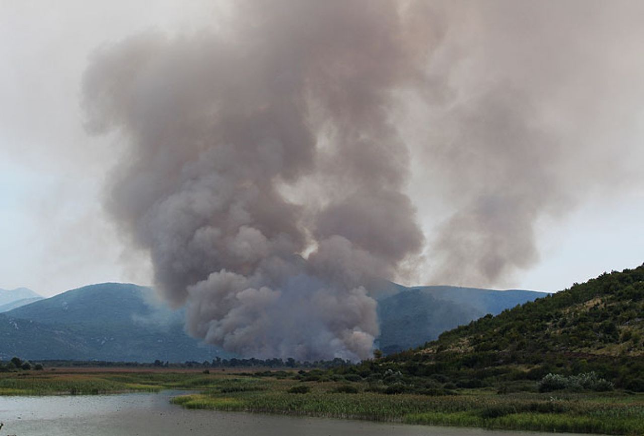 Ugašen požar u Parku prirode Hutovo blato
