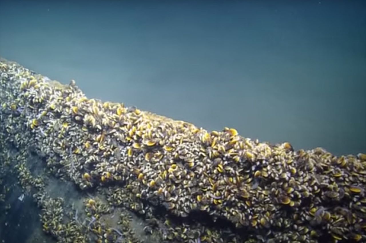VIDEO | Otkrili jezero ispod oceana 