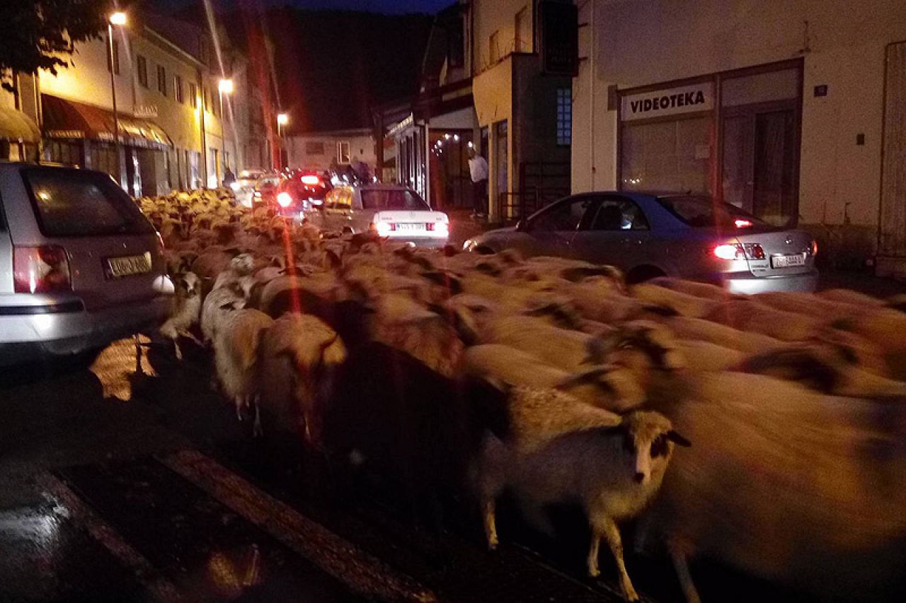 'Defile' kroz Široki Brijeg: Pastiri sa stadom napuštaju planine