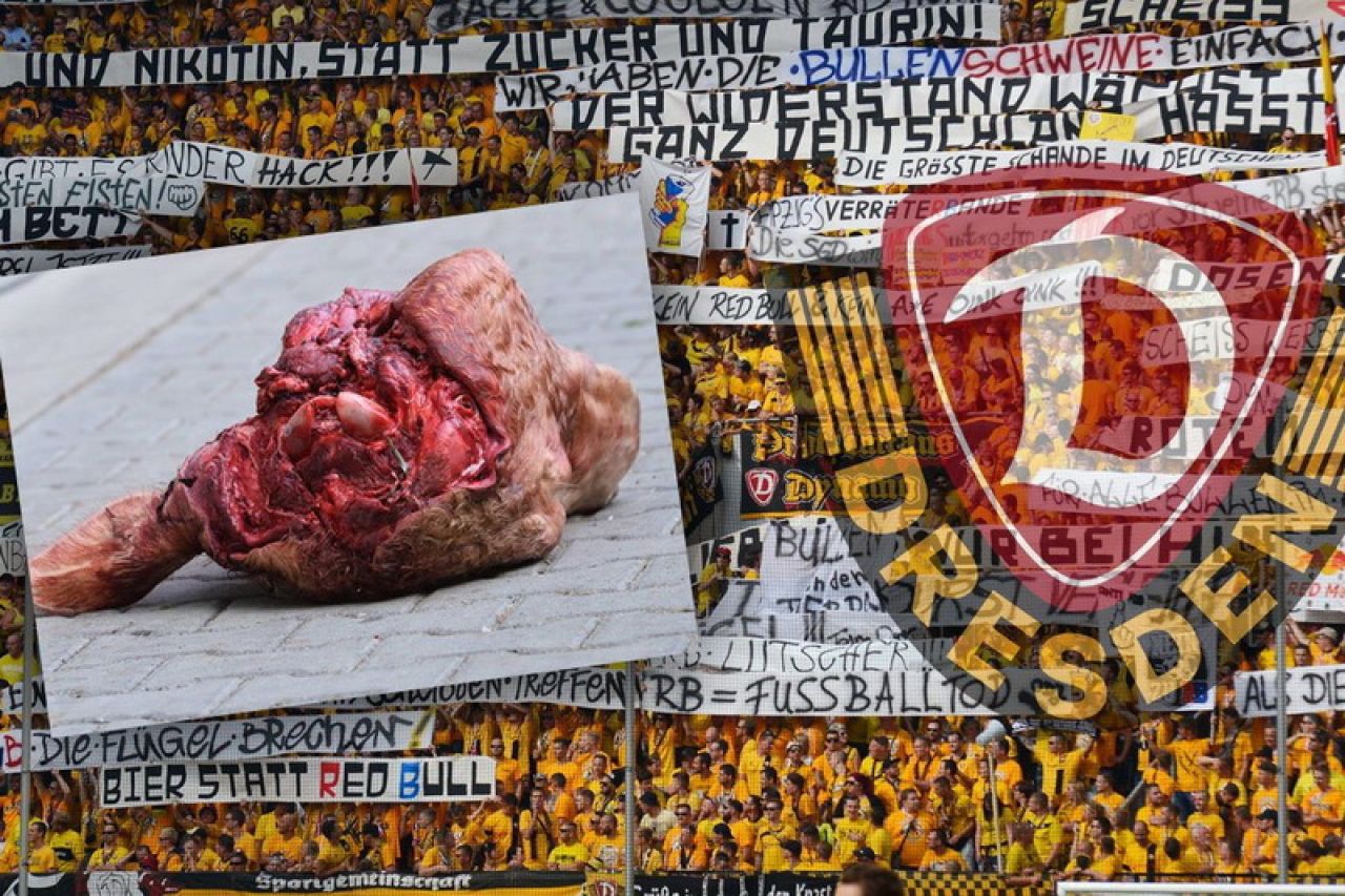 Dynamo Dresden kažnjen zbog bikove glave