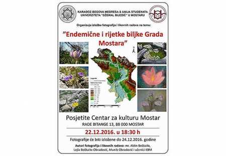 https://storage.bljesak.info/article/180552/450x310/endemicne-biljke-plakat.jpg